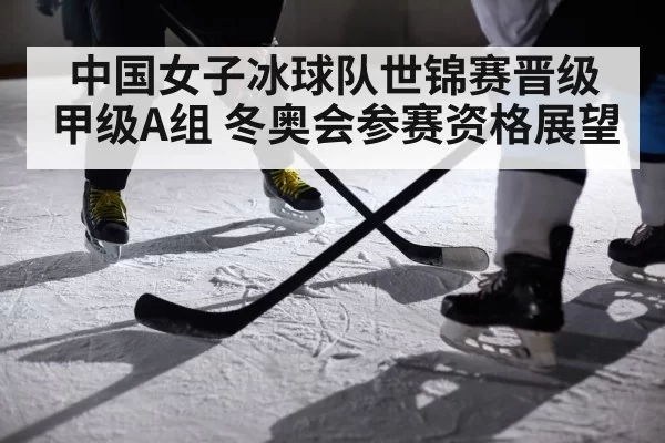 ice hockey players